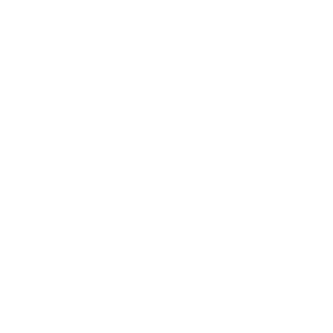 logo-iso9001-white